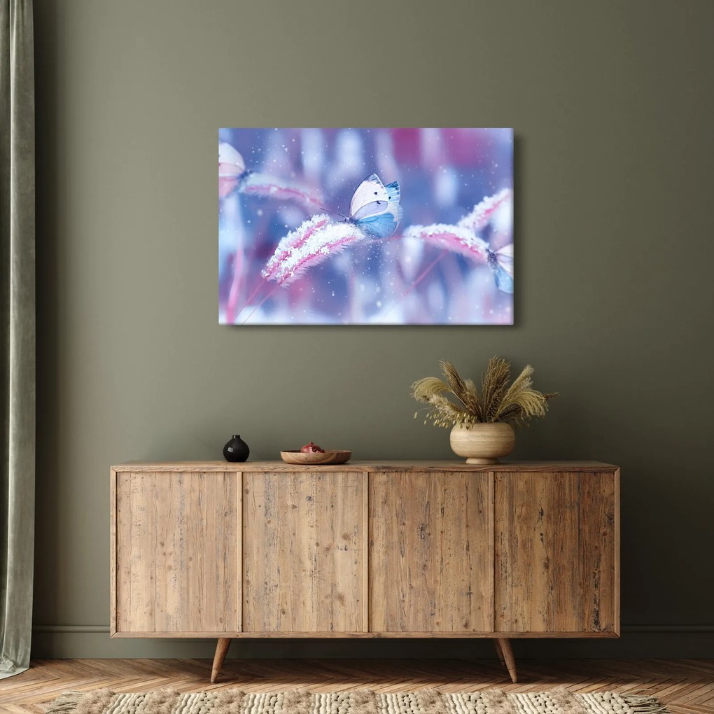 Obraz - Motýle v zime (90x60 cm)