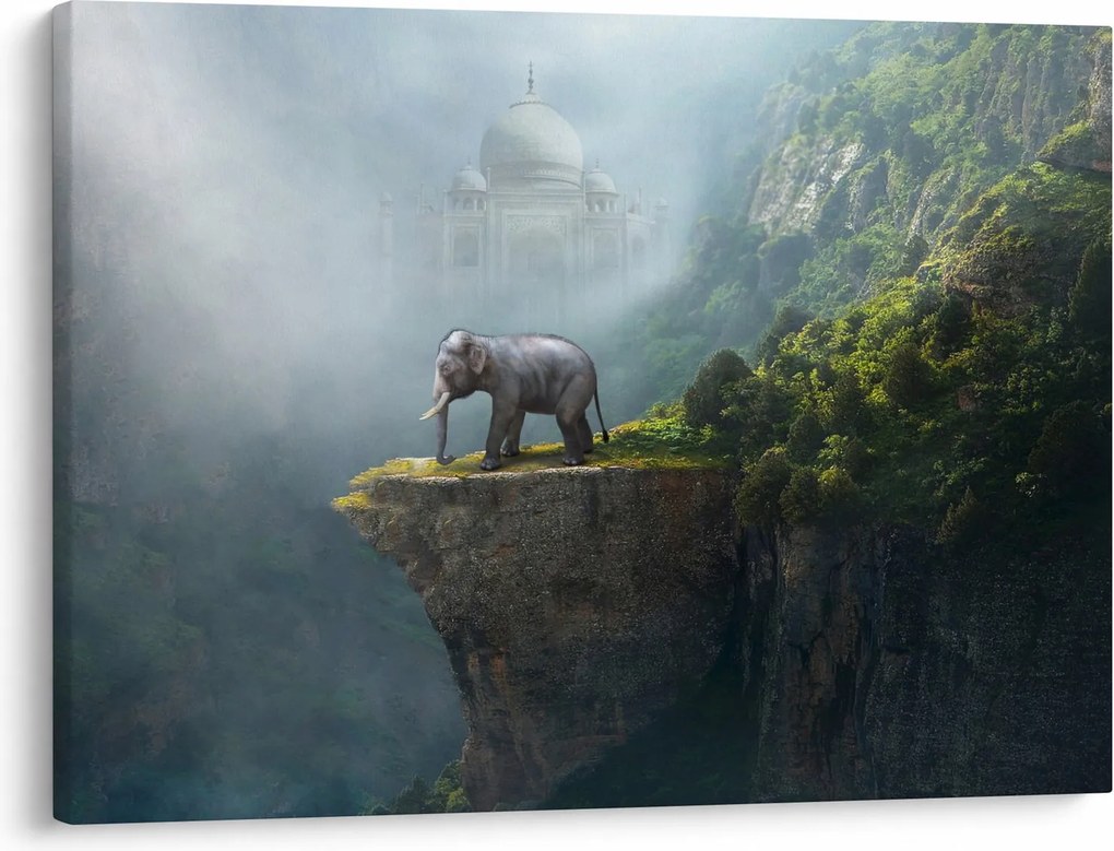 Obraz - Sloník na vrchole Taj Mahal (70x50 cm)