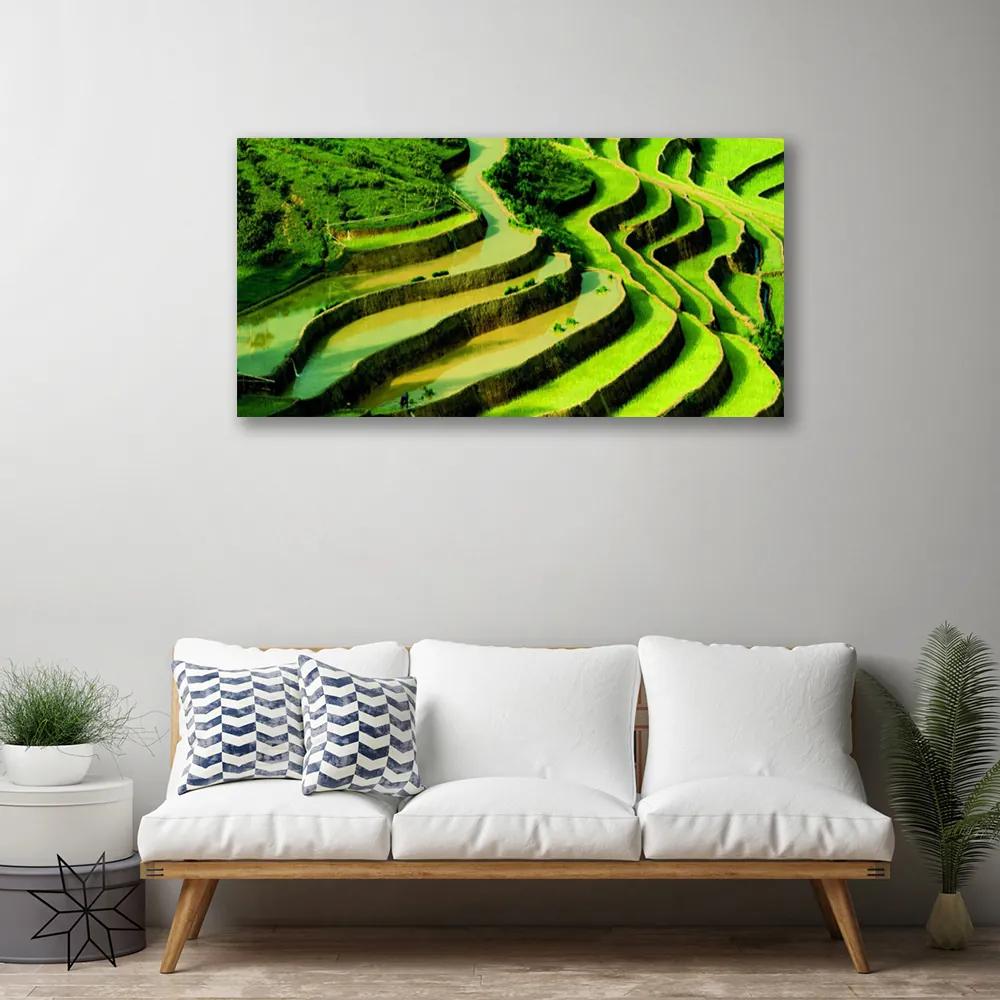Obraz Canvas Pole ryža les umenie 125x50 cm