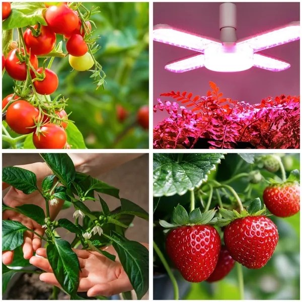 LED Žiarovka na rast rastlín PLANTY E27/40W/230V 1200K