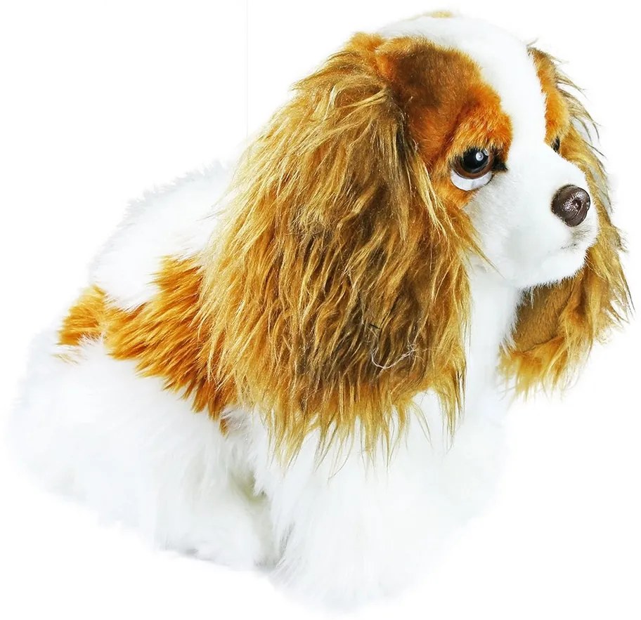 Rappa Plyšový pes King Charles španiel, 25 cm