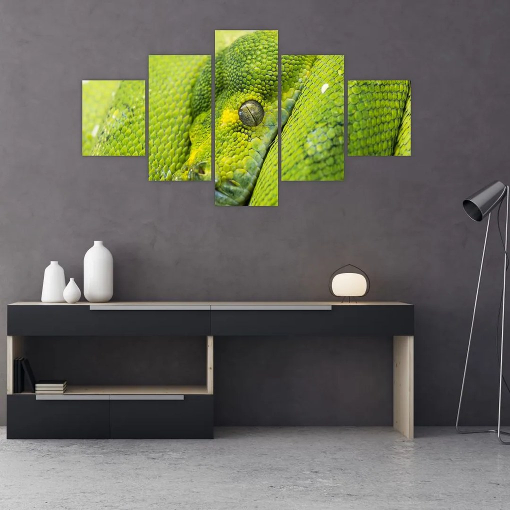 Obraz hada (125x70 cm), 40 ďalších rozmerov