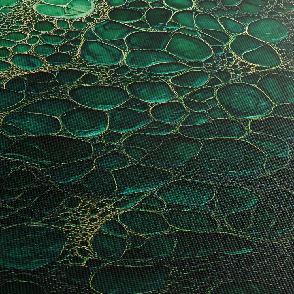 Obraz - Zelený mikroskopický záber (90x60 cm)