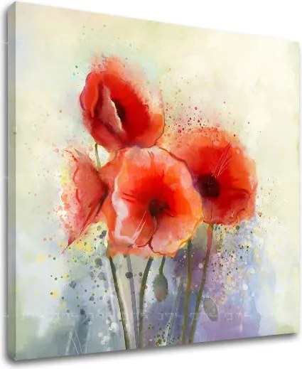 Obraz na stenu KVETY KV076E12 - 60x60 cm