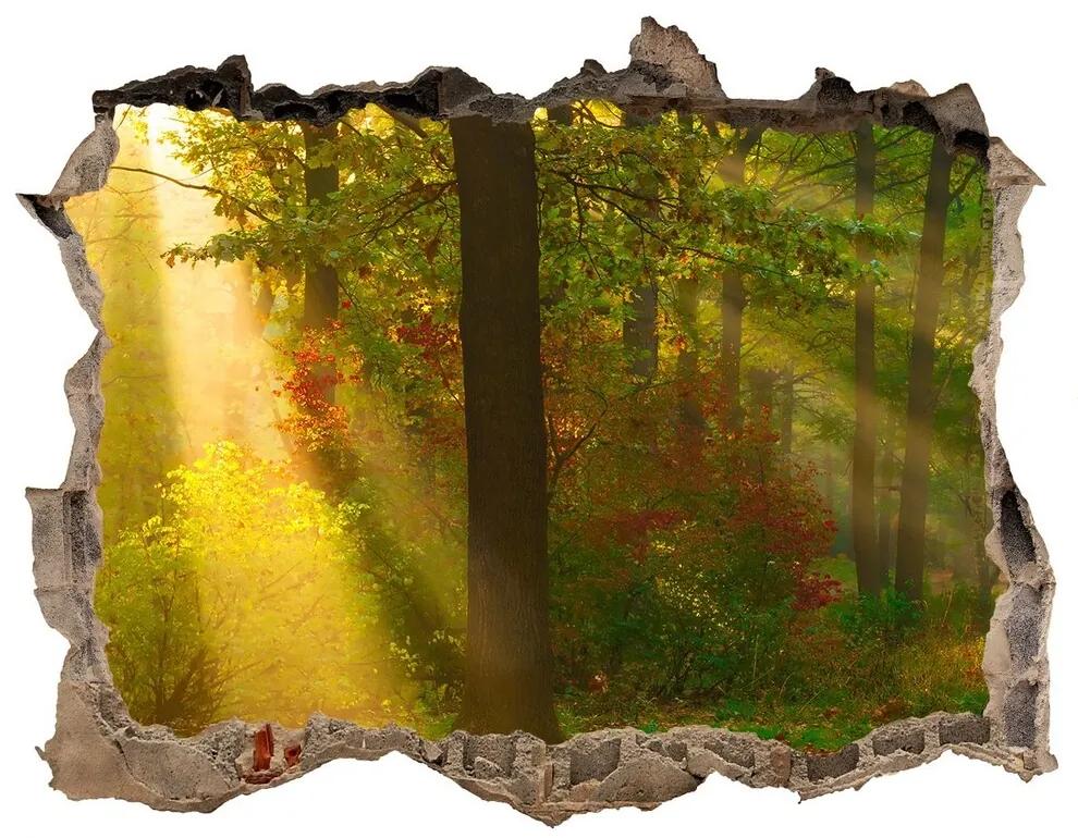 Nálepka fototapeta 3D výhled Forest na slnku nd-k-75879040