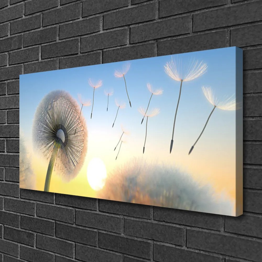 Obraz Canvas Púpava kvety 120x60 cm