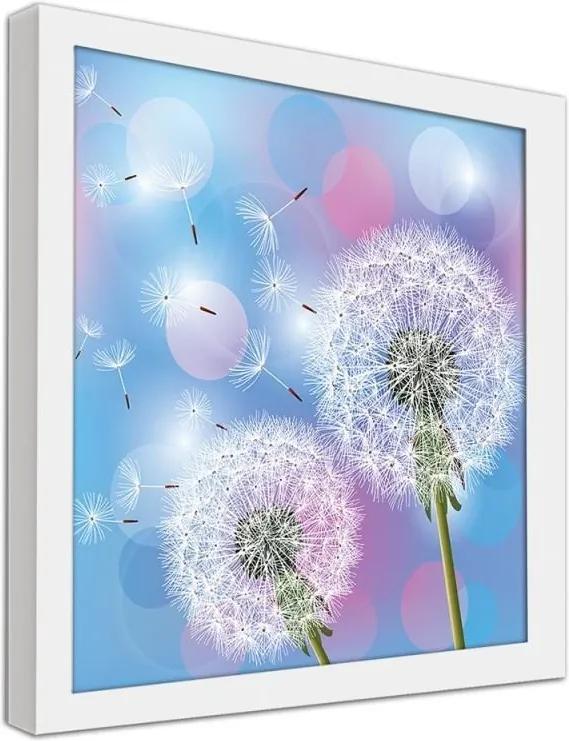 CARO Obraz v ráme - Dandelion On A Blue Background Biela 20x20 cm
