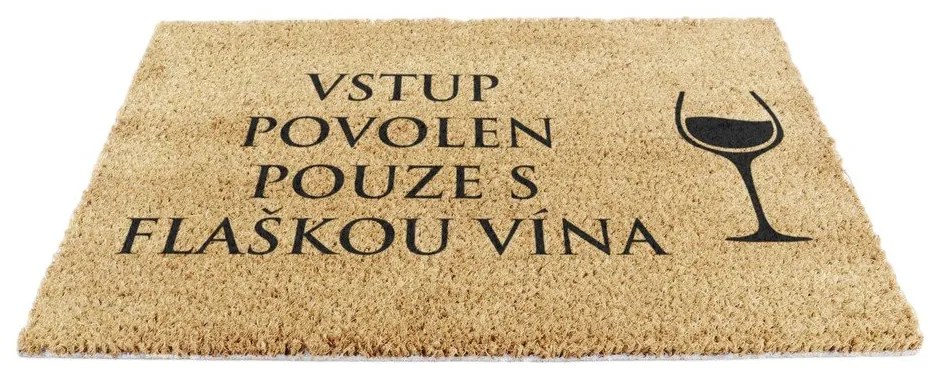 Rohožka z kokosového vlákna 40x60 cm Flaška Vína – Artsy Doormats