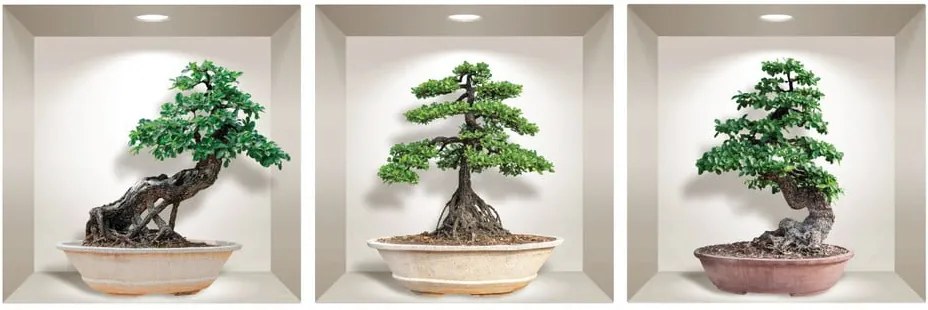 Sada 3 3D samolepiek na stenu Ambiance Ginseng Bonsai