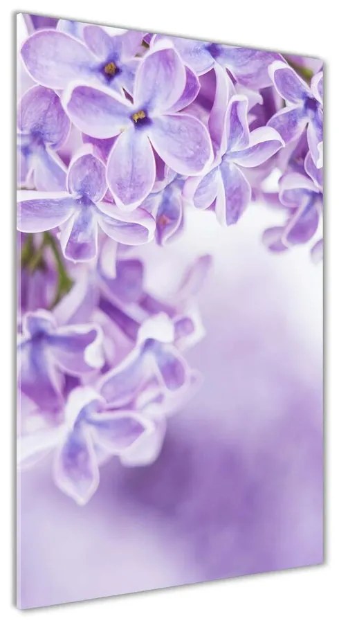 Foto obraz akrylový na stenu Kvety bzu pl-oa-70x140-f-58135324
