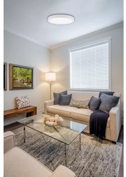 LED Stropné svietidlo FENIX LED/24W/230V 3800K pr. 29,8 cm snehovo biela