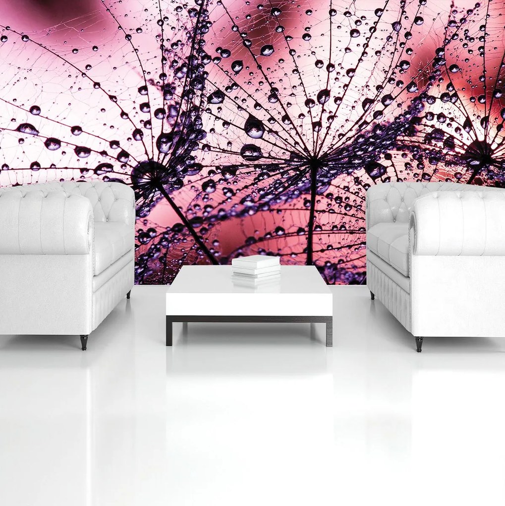 Fototapeta - Púpavy - abstraktné - fialové (152,5x104 cm)