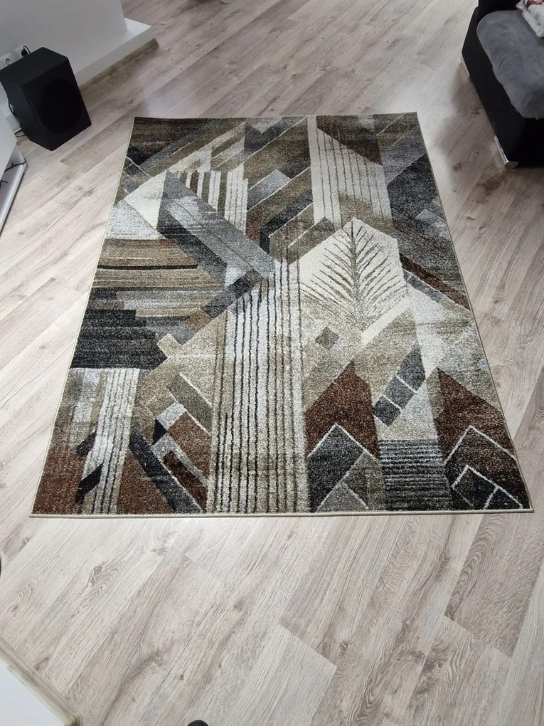 Dekorstudio Moderný koberec do obývačky VILLA - vzor 55 Rozmer koberca: 160x220cm