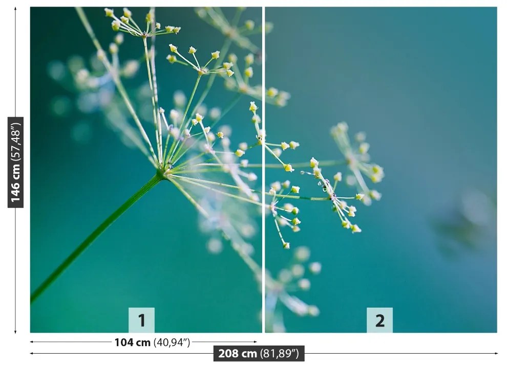 Fototapeta Vliesová Kvetinový kôpor 104x70 cm