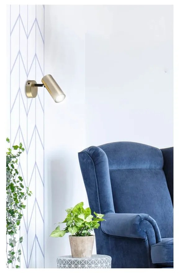 Kovové nástenné svietidlo v zlatej farbe Colly - Candellux Lighting