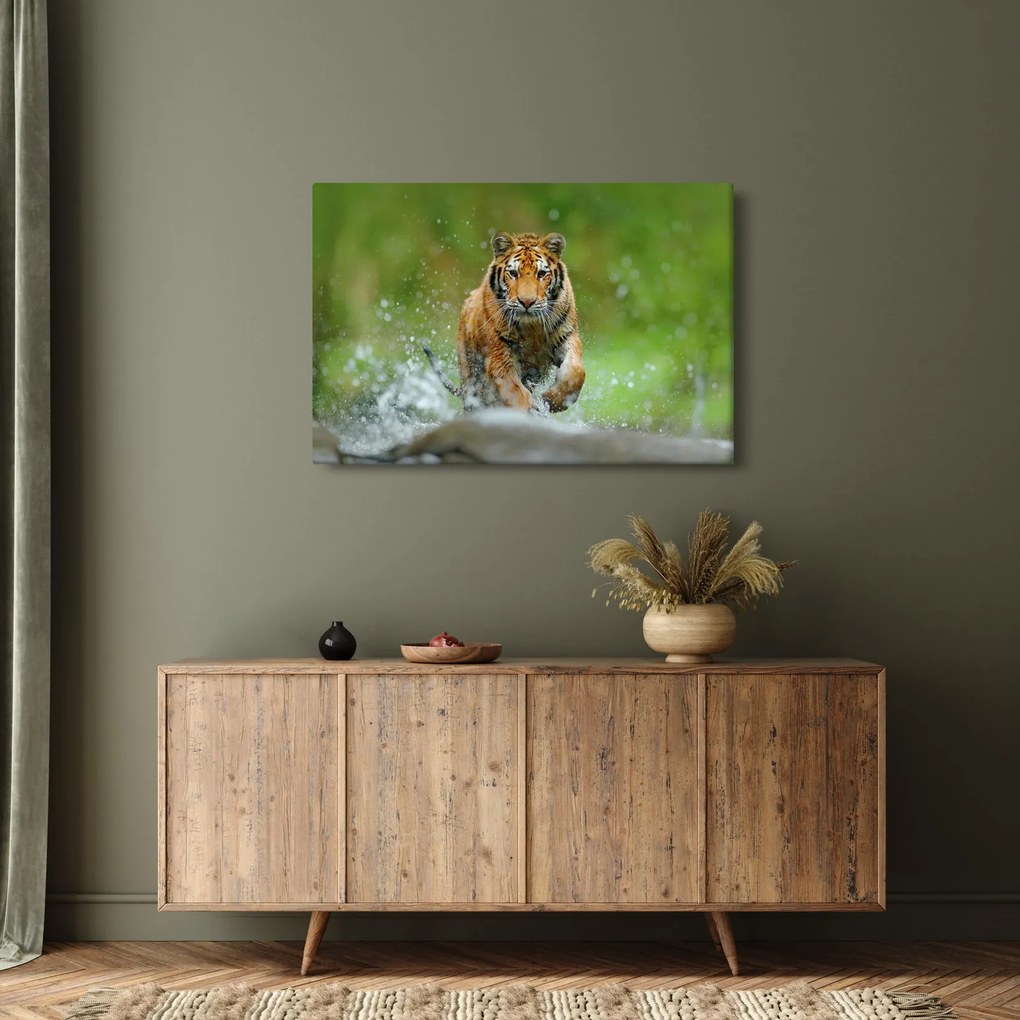 Obraz - Bežiaci tiger (90x60 cm)