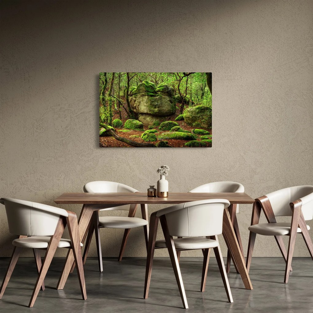 Obraz čarovného lesa (90x60 cm)