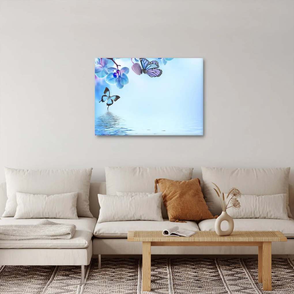 Obraz - Motýľ na kvetoch orchidey, modrý (70x50 cm)