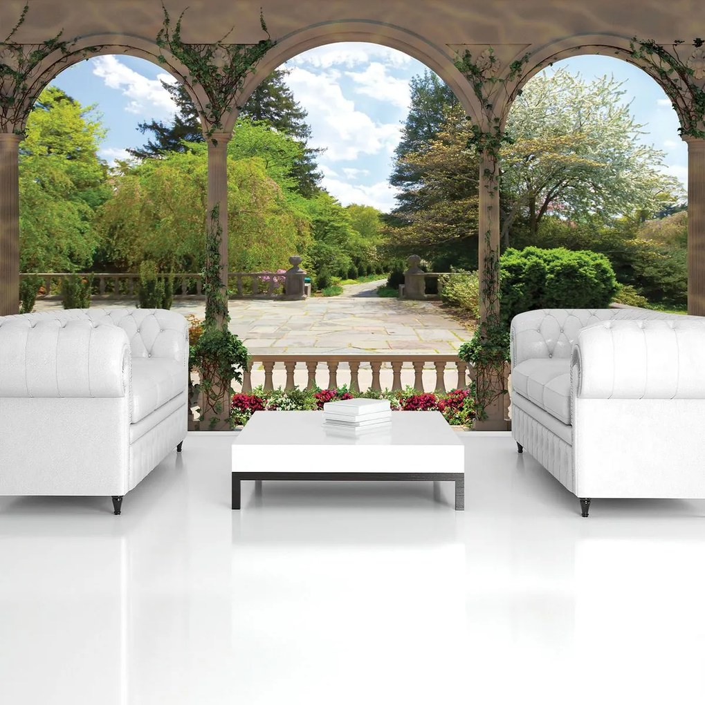 Fototapeta - Klenba - strom lesné drevo krajina (152,5x104 cm)