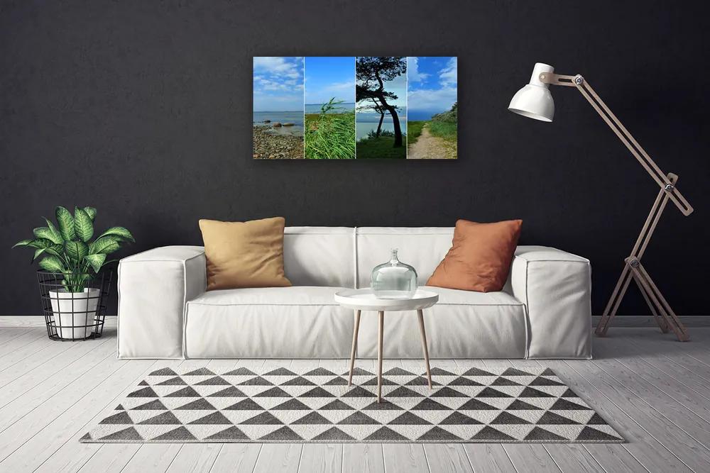 Obraz na plátne Pláž strom príroda 120x60 cm