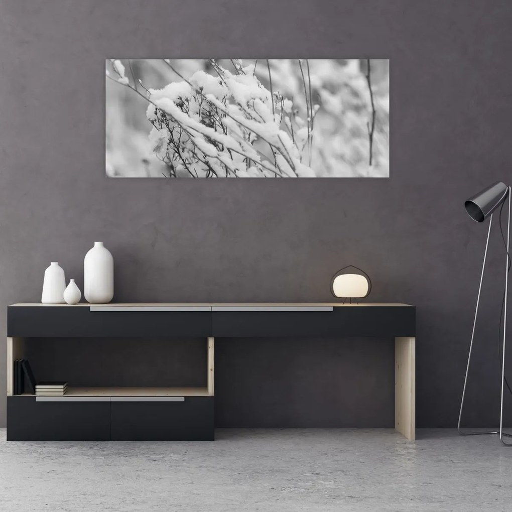 Obraz - Zasnežené vetvy (120x50 cm)