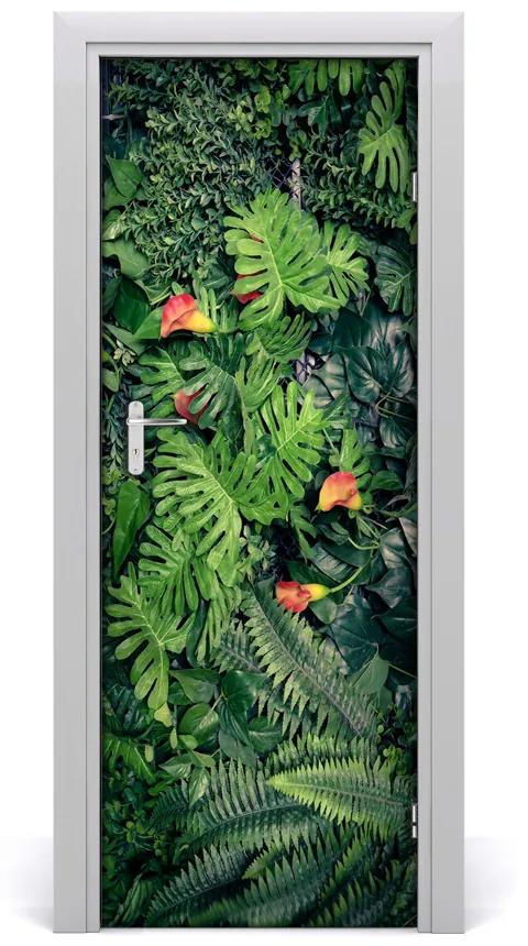 Fototapeta na dvere tropické rastliny 95x205 cm