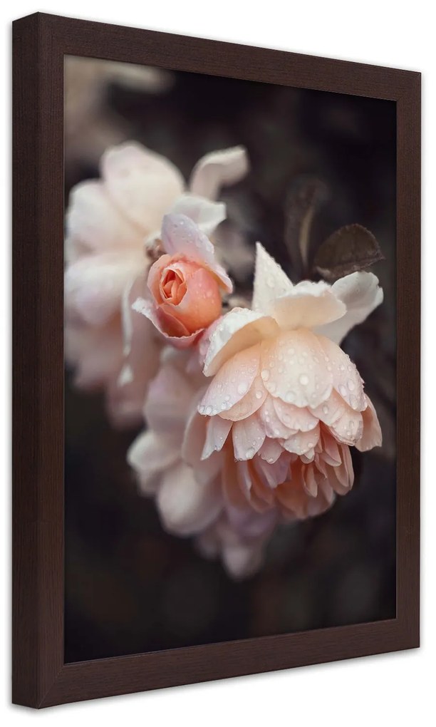 Gario Plagát Makro fotografovanie kvetov Farba rámu: Bez rámu, Rozmery: 30 x 45 cm
