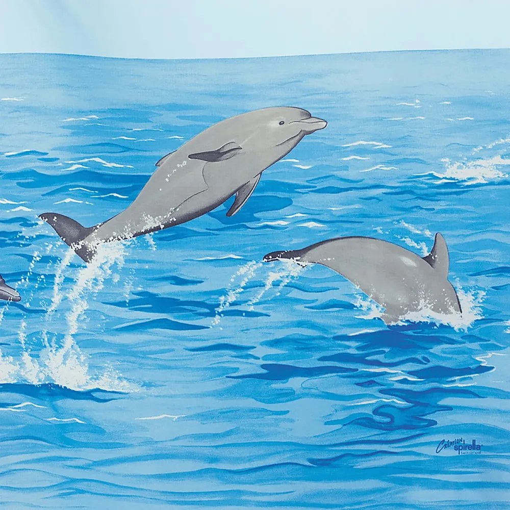 Sprchový záves 120x200 cm Nemo – Spirella