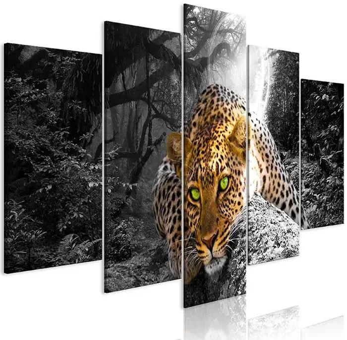 Obraz - Leopard Lying (5 Parts) Wide Grey Veľkosť: 100x50, Verzia: Na talianskom plátne