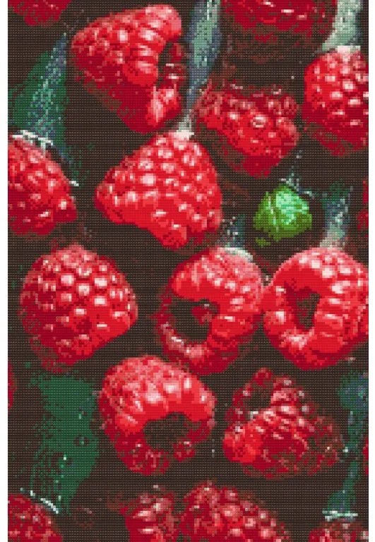 Gario Diamantové maľovanie Šťavnaté maliny Rozmery: 40 x 60 cm, Rámovanie: Iba zrolované plátno, Diamanty: Štvorcové