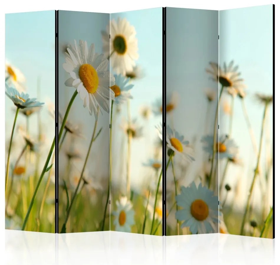 Artgeist Paraván - Daisies - spring meadow [Room Dividers]