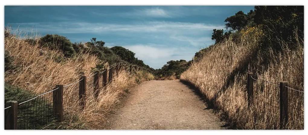 Obraz - Na chodníku (120x50 cm)