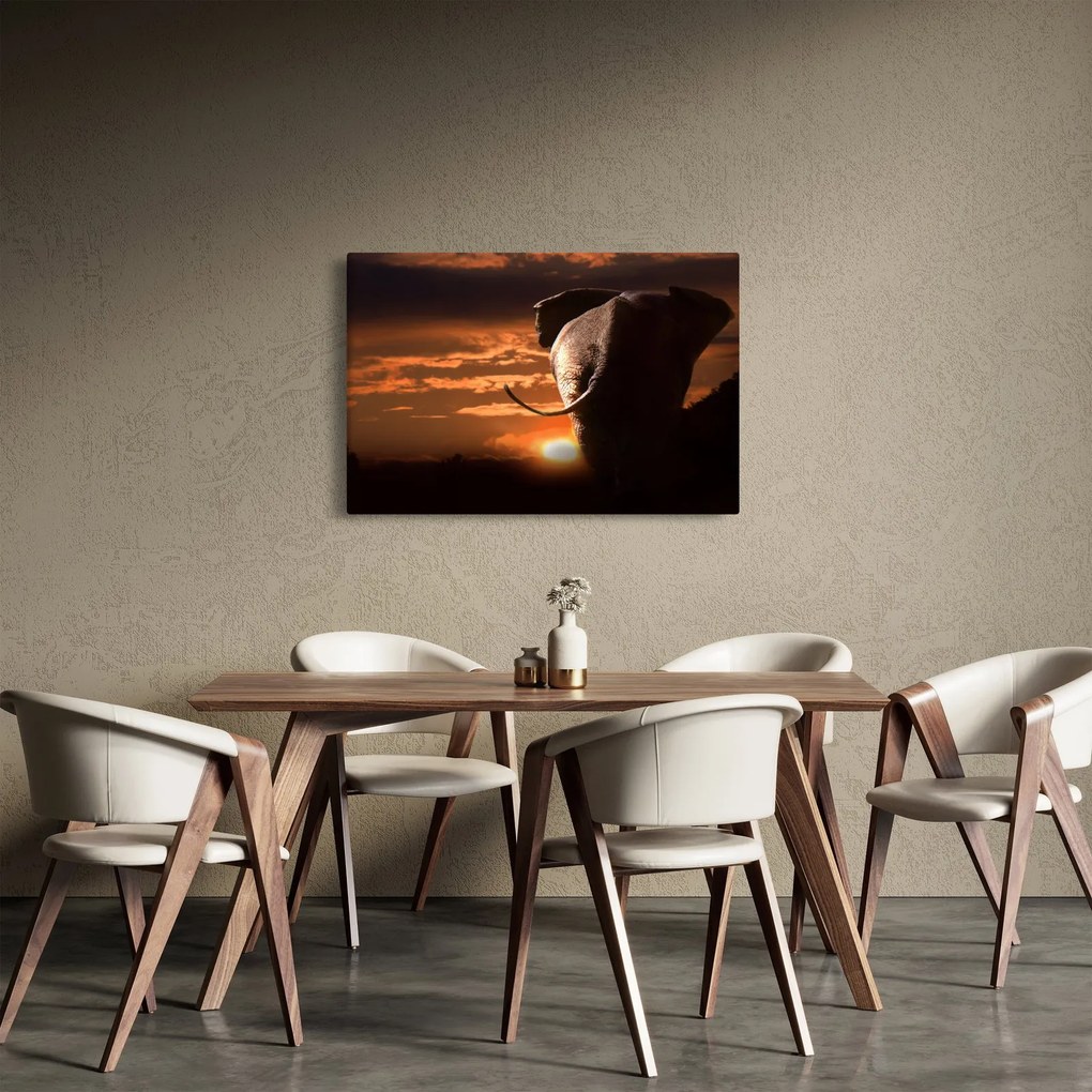 Obraz slona (90x60 cm)