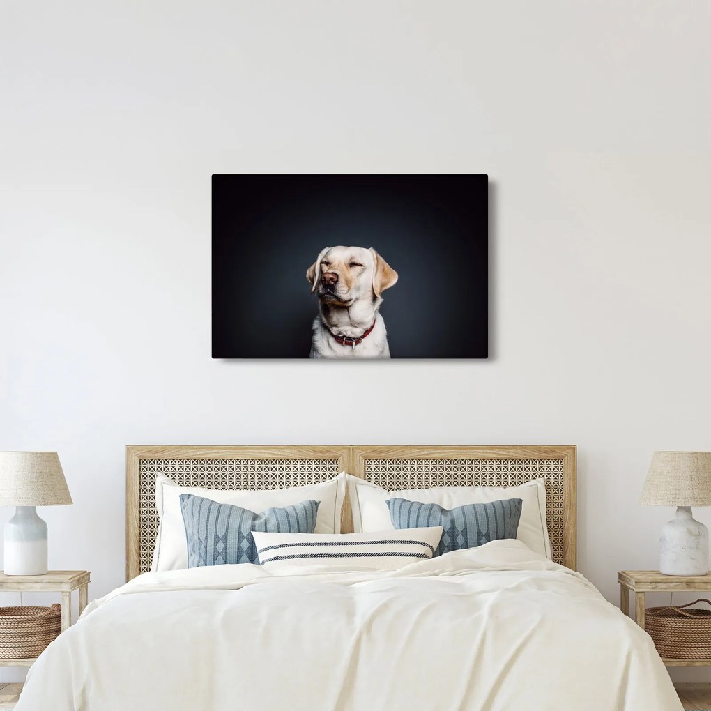 Obraz labradora (90x60 cm)