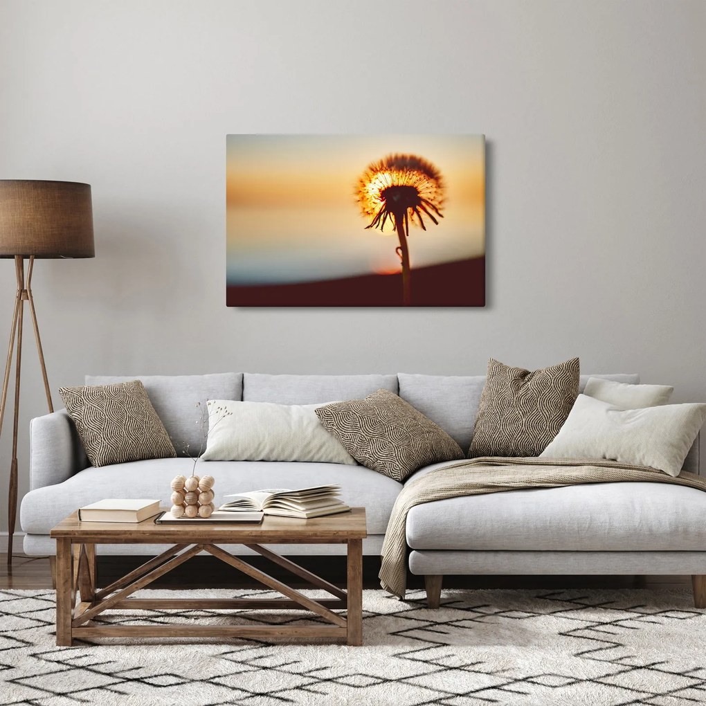 Obraz Púpavy v západe slnka (90x60 cm)