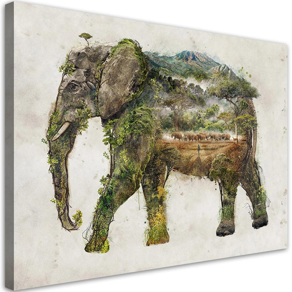 Gario Obraz na plátne Slon a expedícia - Barrett Biggers Rozmery: 60 x 40 cm