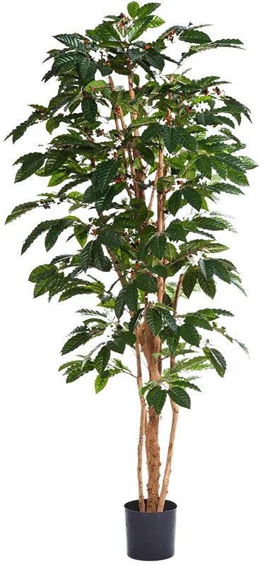 Umelá rastlina Kávovník Coffea arabica 120 cm