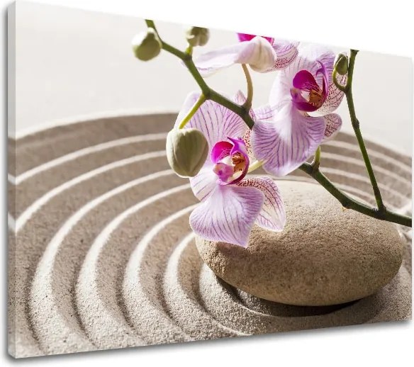 Obraz na plátne FENG SHUI_050-11