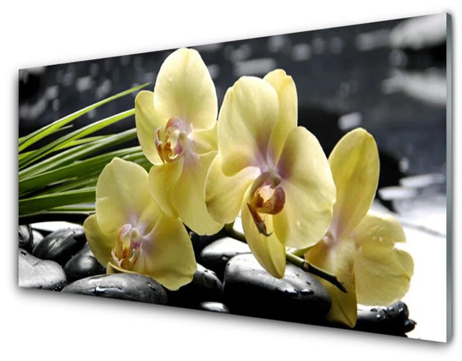 Nástenný panel  Kvety rastlina príroda 140x70cm