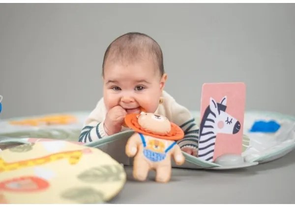 Taf Toys - Detská hracia podložka s hrazdou savana 2xAAA