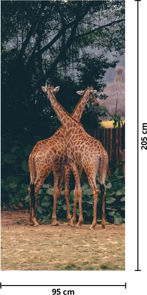 Fototapeta na dvere - Dve Žirafy (95x205cm)