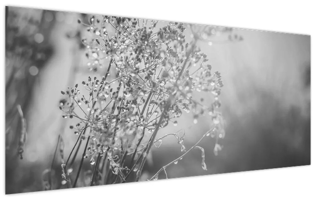 Obraz - Lúka po daždi (120x50 cm)