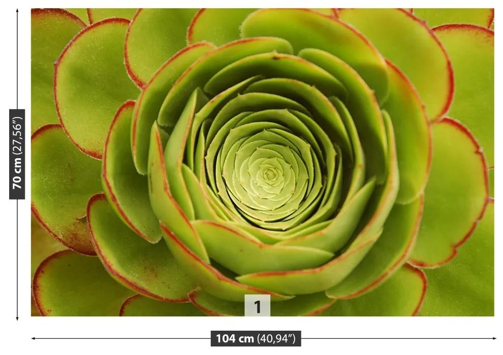Fototapeta Vliesová Zelený kvet 416x254 cm