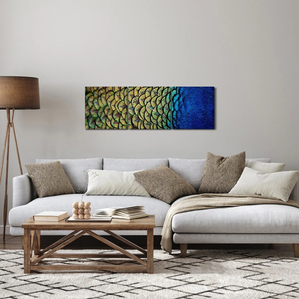 Obraz - Pávie perie (s hodinami) (90x30 cm)
