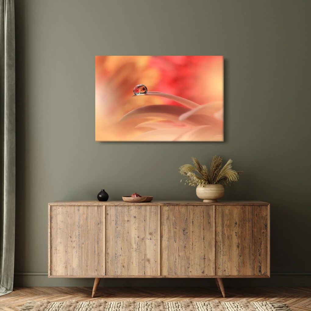 Obraz kvetinové kvapky rosy (90x60 cm)