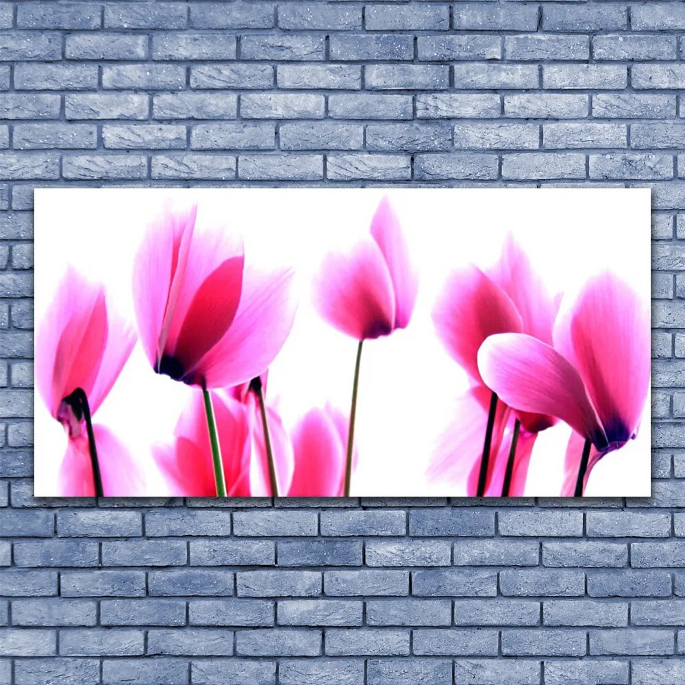 Obraz na akrylátovom skle Kvetiny rastlina 120x60 cm