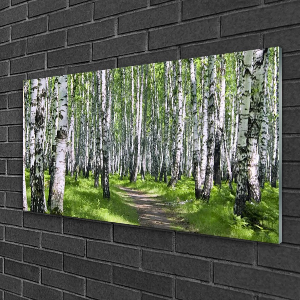 Obraz na skle Les chodník príroda 100x50 cm
