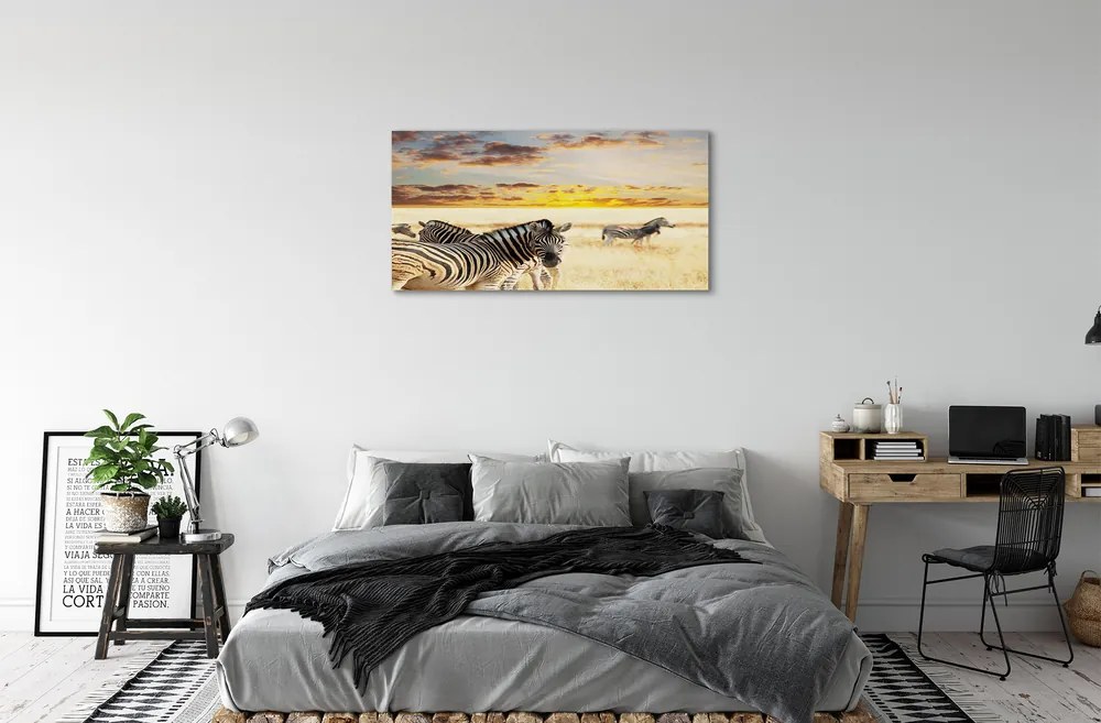 Obraz na plátne Zebry poľa sunset 120x60 cm