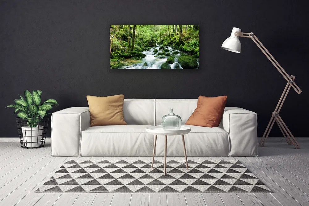 Obraz Canvas Les potok vodopády rieka 140x70 cm