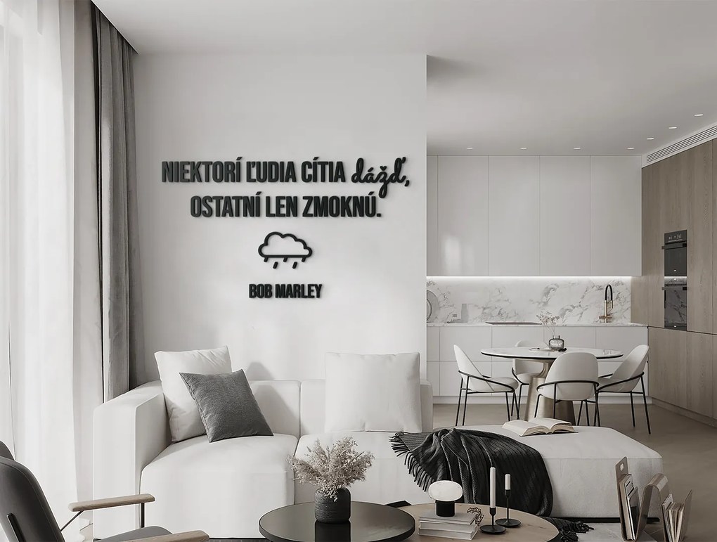 drevko Drevený citát Niektorí ľudia cítia dážď Rozmer obrazu: 49 x 85,5 cm, Farba dekorácie: Čierna